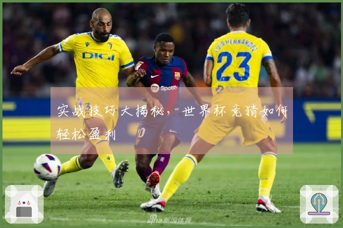 实战技巧大揭秘，世界杯竞猜如何轻松盈利