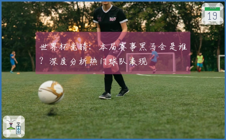 世界杯竞猜：本届赛事黑马会是谁？深度分析热门球队表现