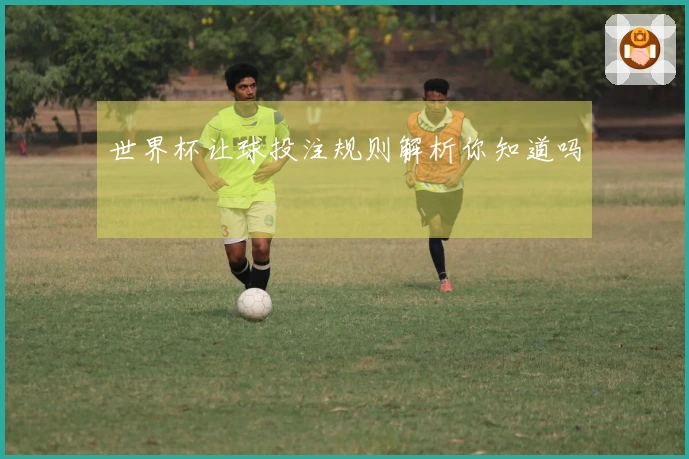 世界杯让球投注规则解析你知道吗